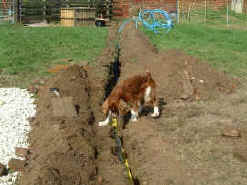 duggie_insp.JPG (104832 bytes)